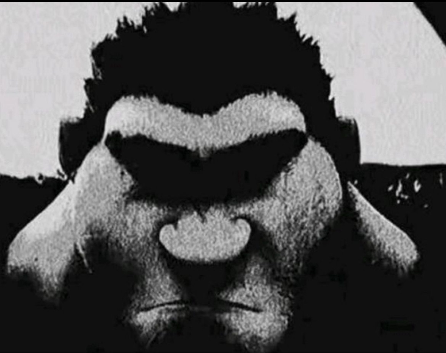High-contrast black-and-white face glaring with a heavy unibrow scowl