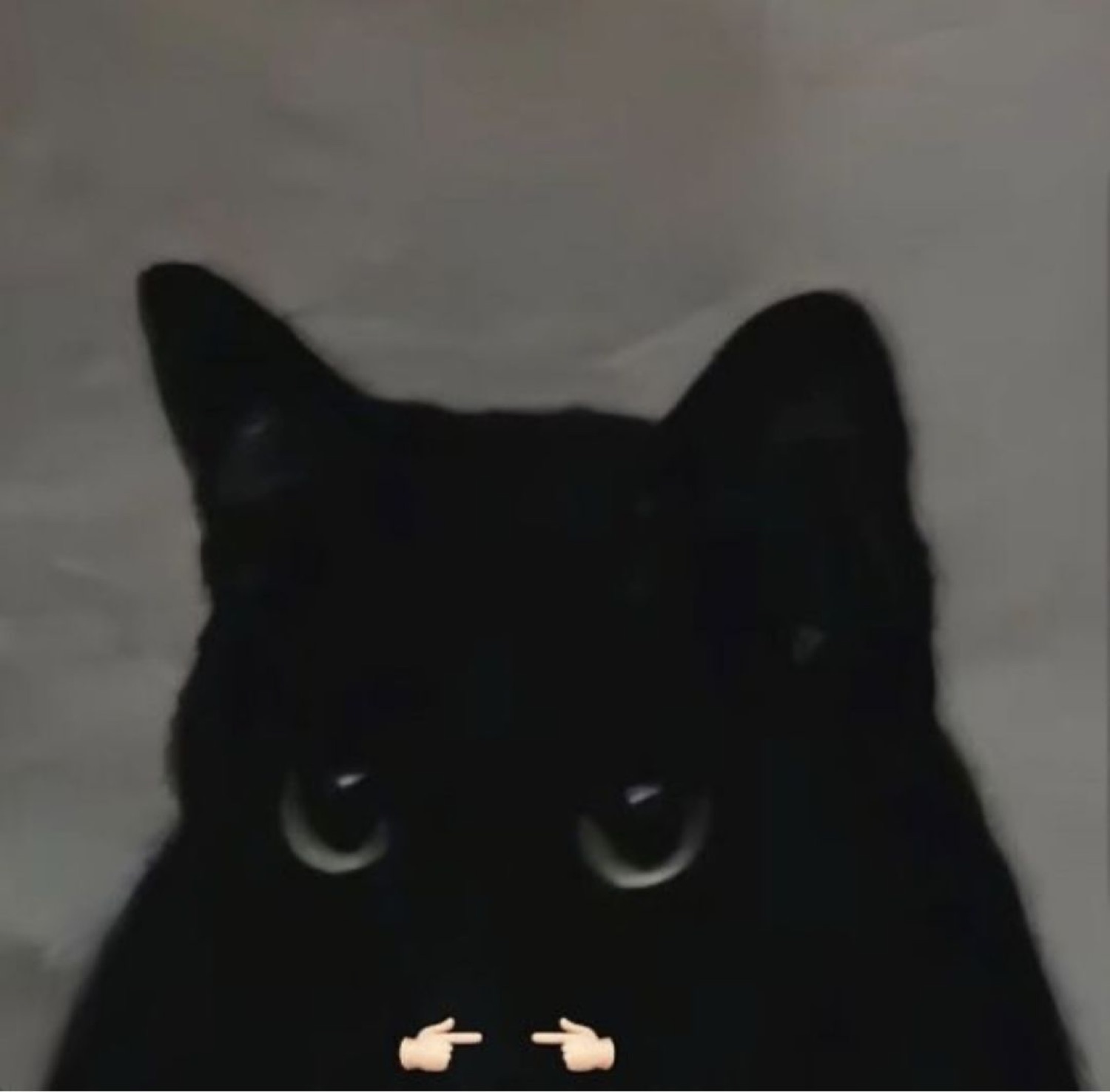Black cat peeking up with tiny emoji hands pressing their pointer fingers together shyly