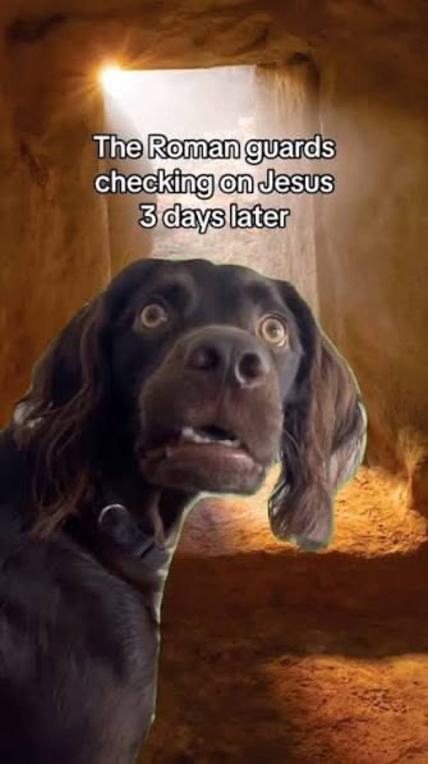 Shocked dog at a tomb: 'The Roman guards checking on Jesus 3 days later'