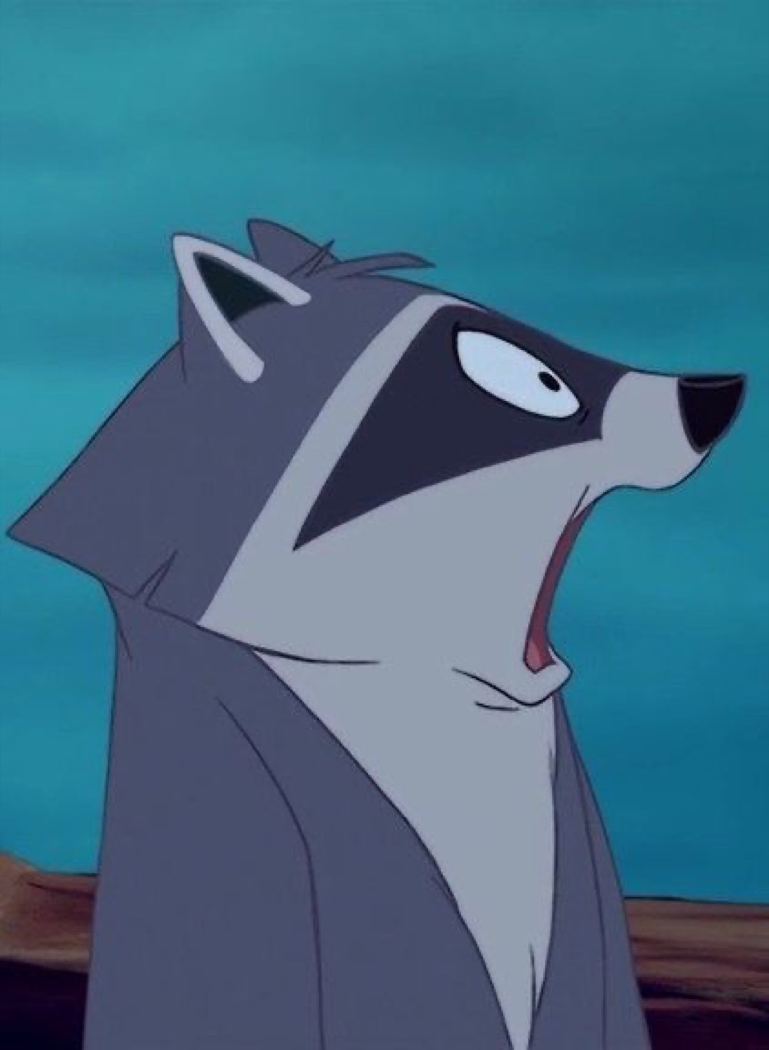 Cartoon raccoon with wide eye and open mouth mid-shock, looking upward dramatically