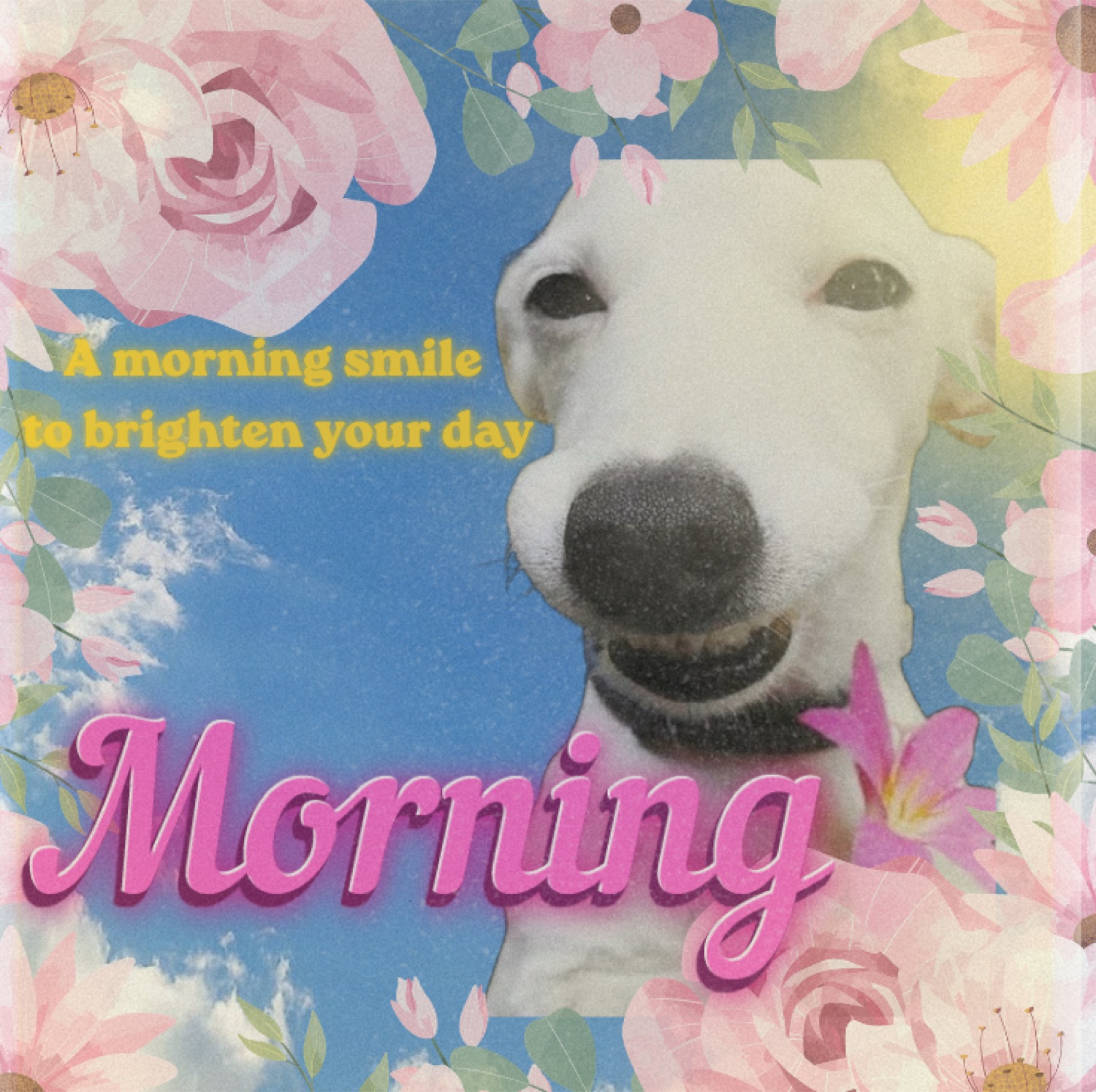 Smiling white dog surrounded by flowers: 'A morning smile to brighten your day / Morning'