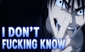Anime guy losing it, captioned 'I DON'T FUCKING KNOW'