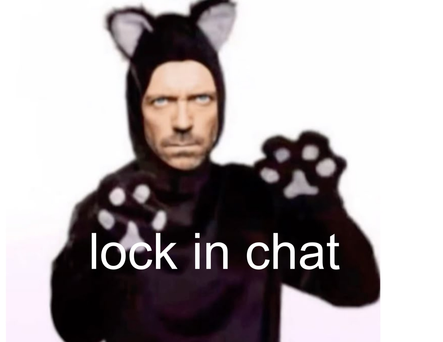 Man in a cat costume with paw gloves glaring intensely, captioned 'lock in chat'
