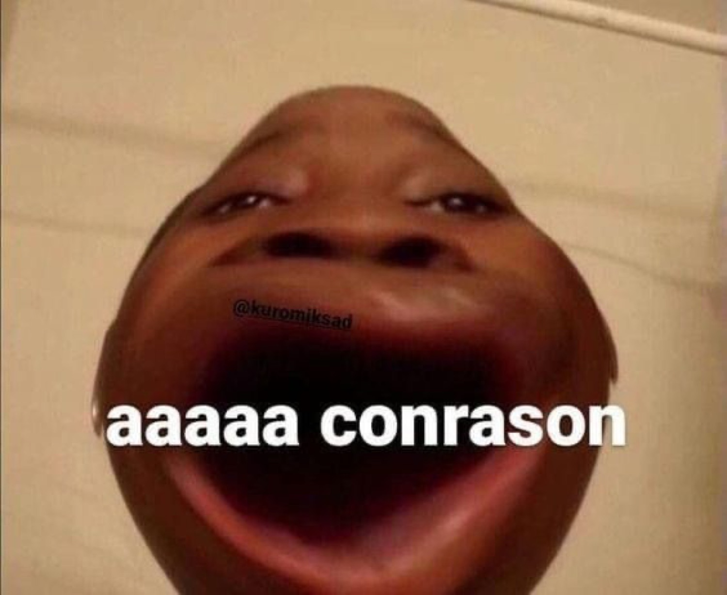 Face stretched and distorted screaming 'aaaaa conrason' straight into the camera