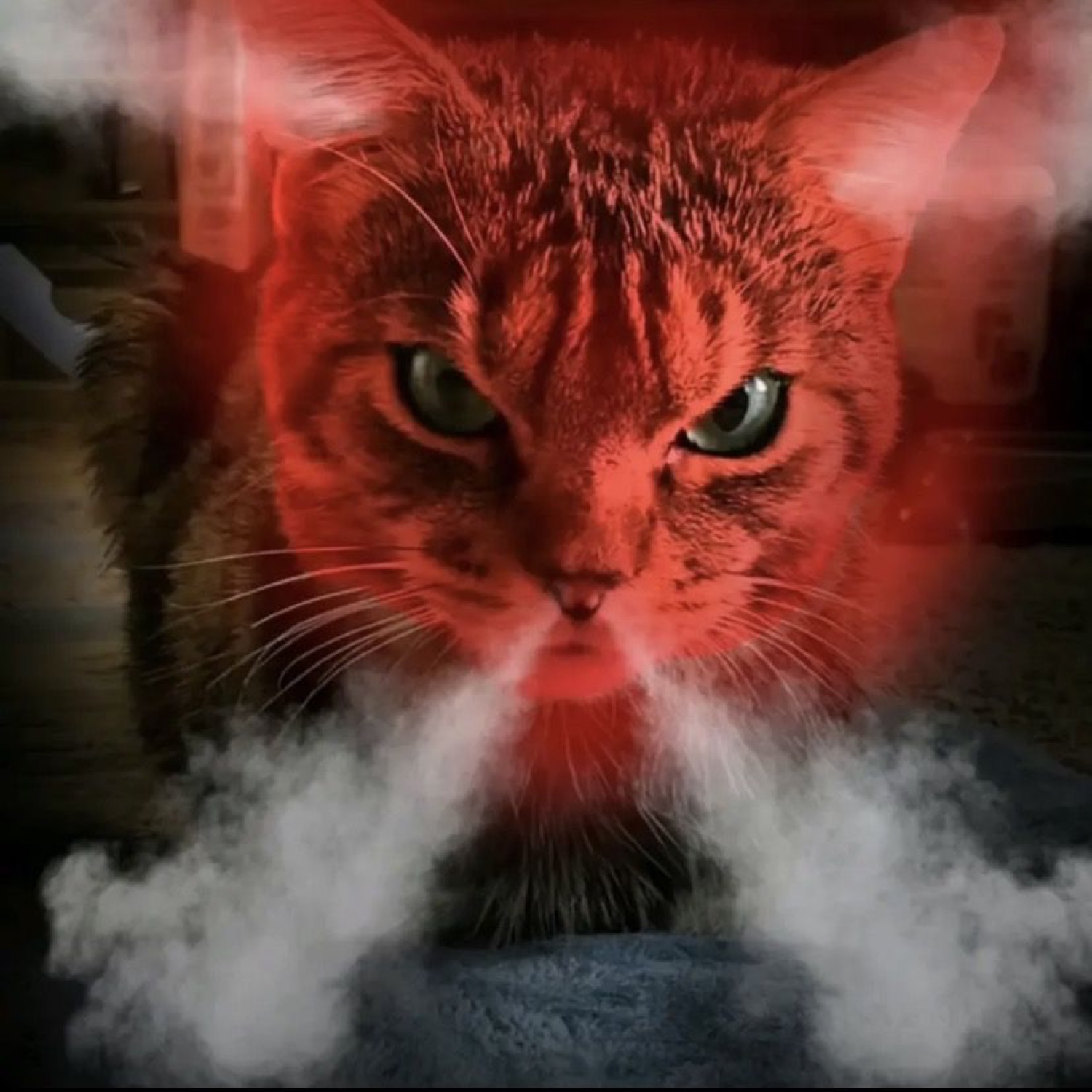 An orange cat bathed in red light with smoke rising, looking menacing and full of rage