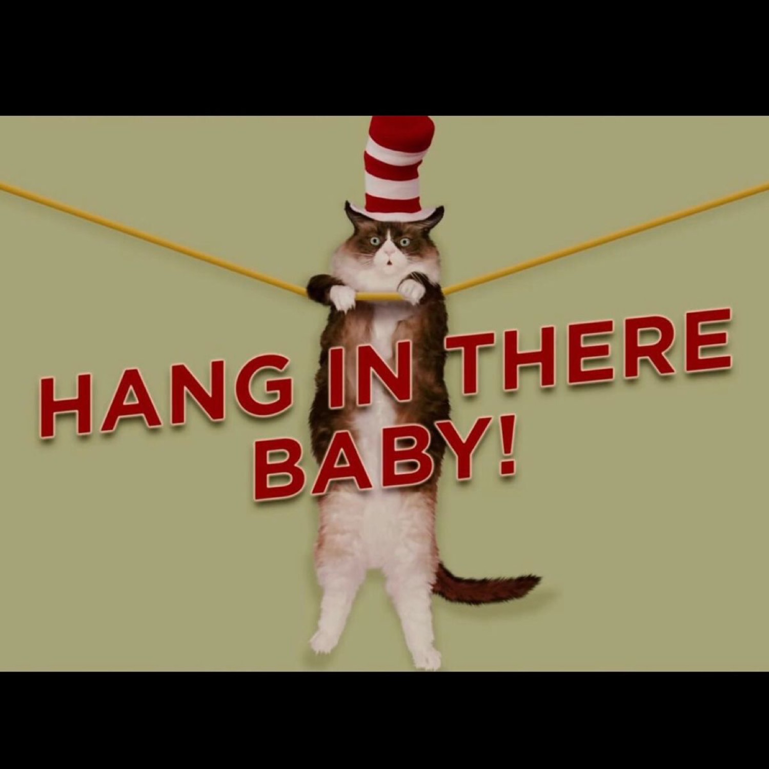 Wide-eyed cat in a striped hat dangling from a rope captioned 'HANG IN THERE BABY!'