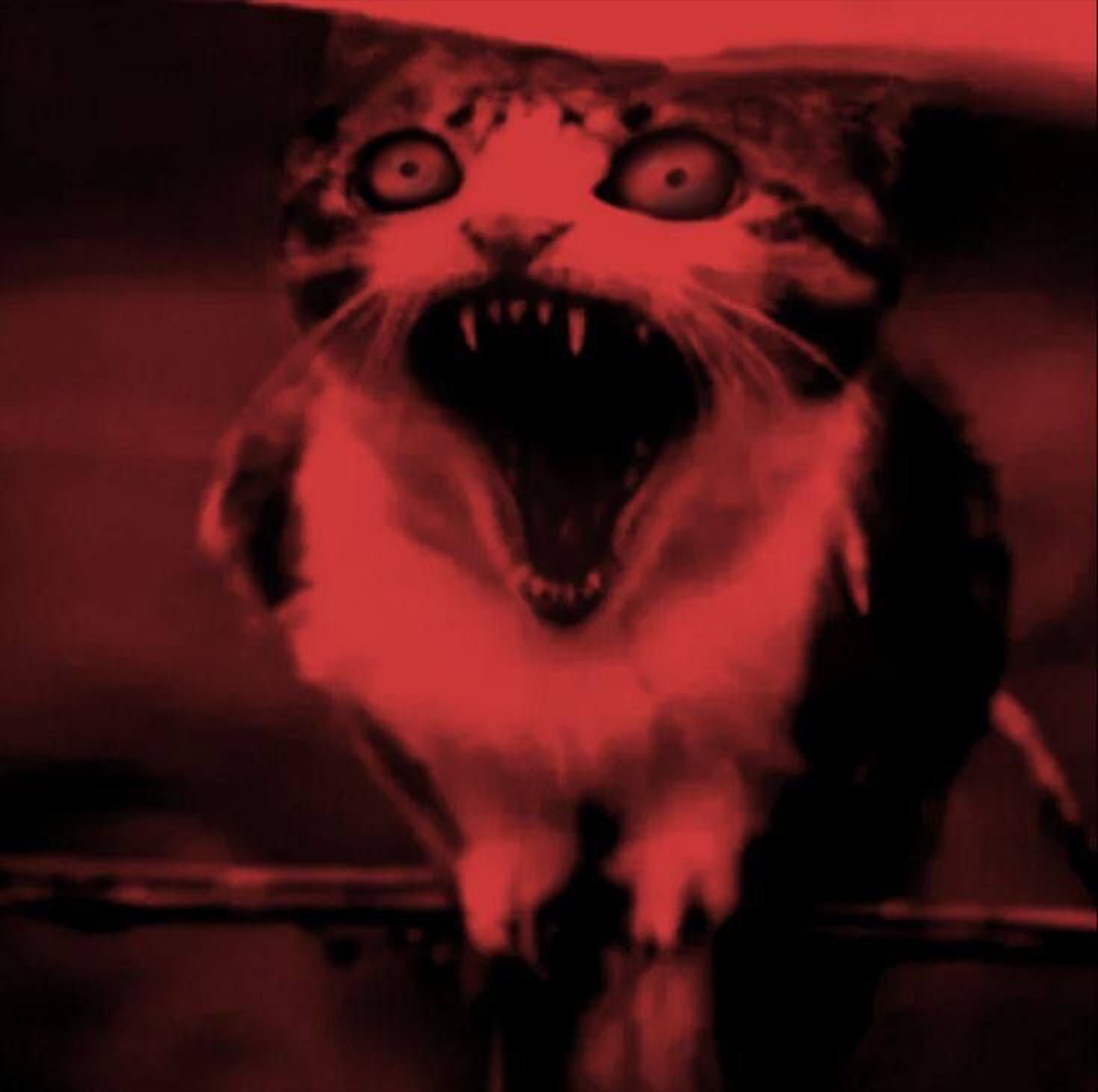 Red-tinted cursed cat screaming wide-mouthed with glowing eyes