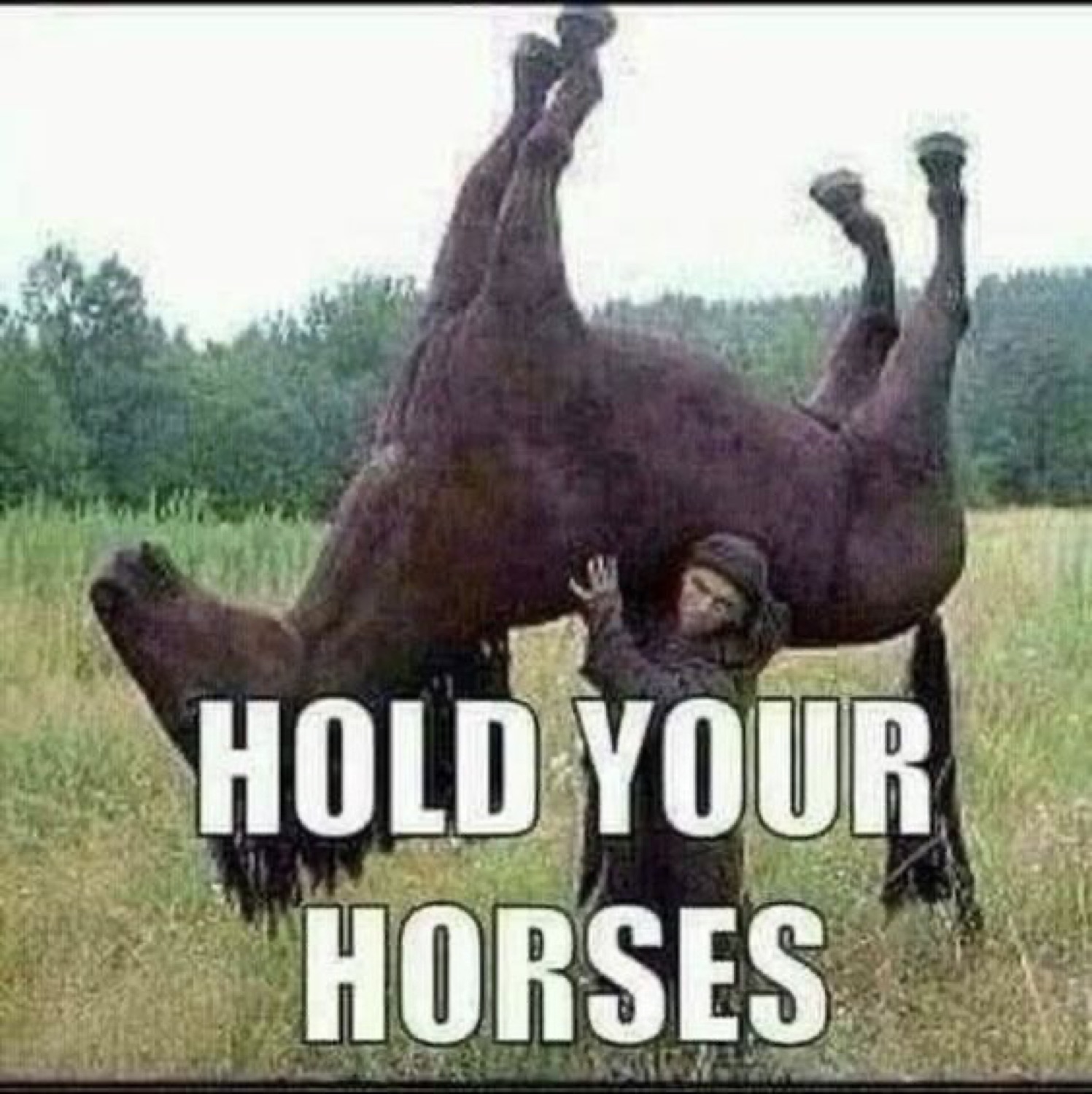 Person literally getting crushed under an upside-down horse captioned 'HOLD YOUR HORSES'