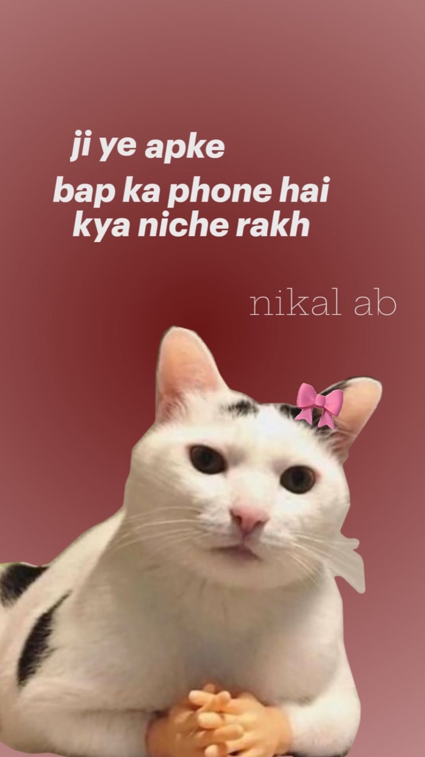 White cat with a bow: 'ji ye apke bap ka phone hai kya niche rakh / nikal ab' (is this your dad's phone? put it down, now get out)