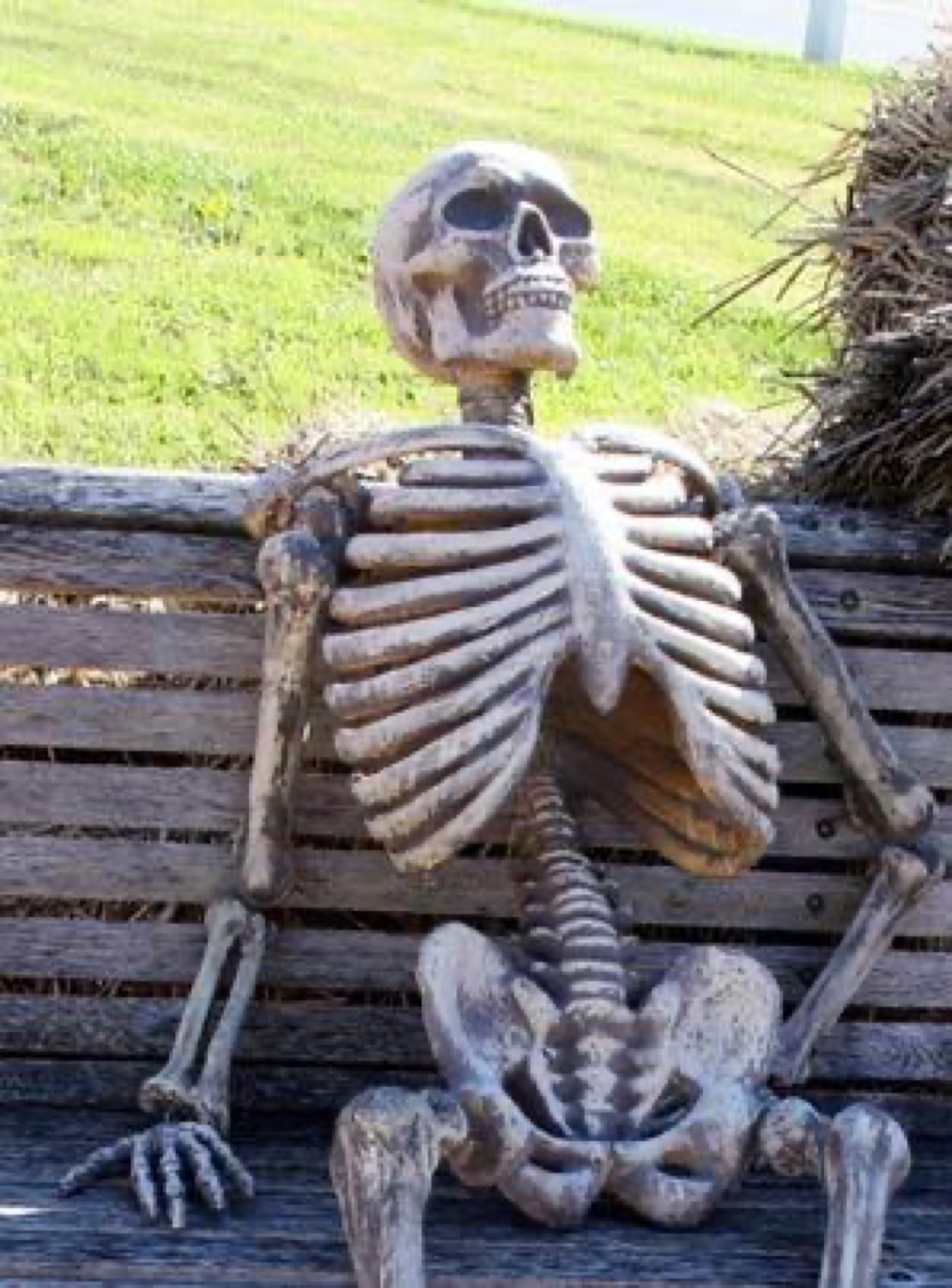 A plastic skeleton slumped on a wooden bench outside like it's been waiting forever