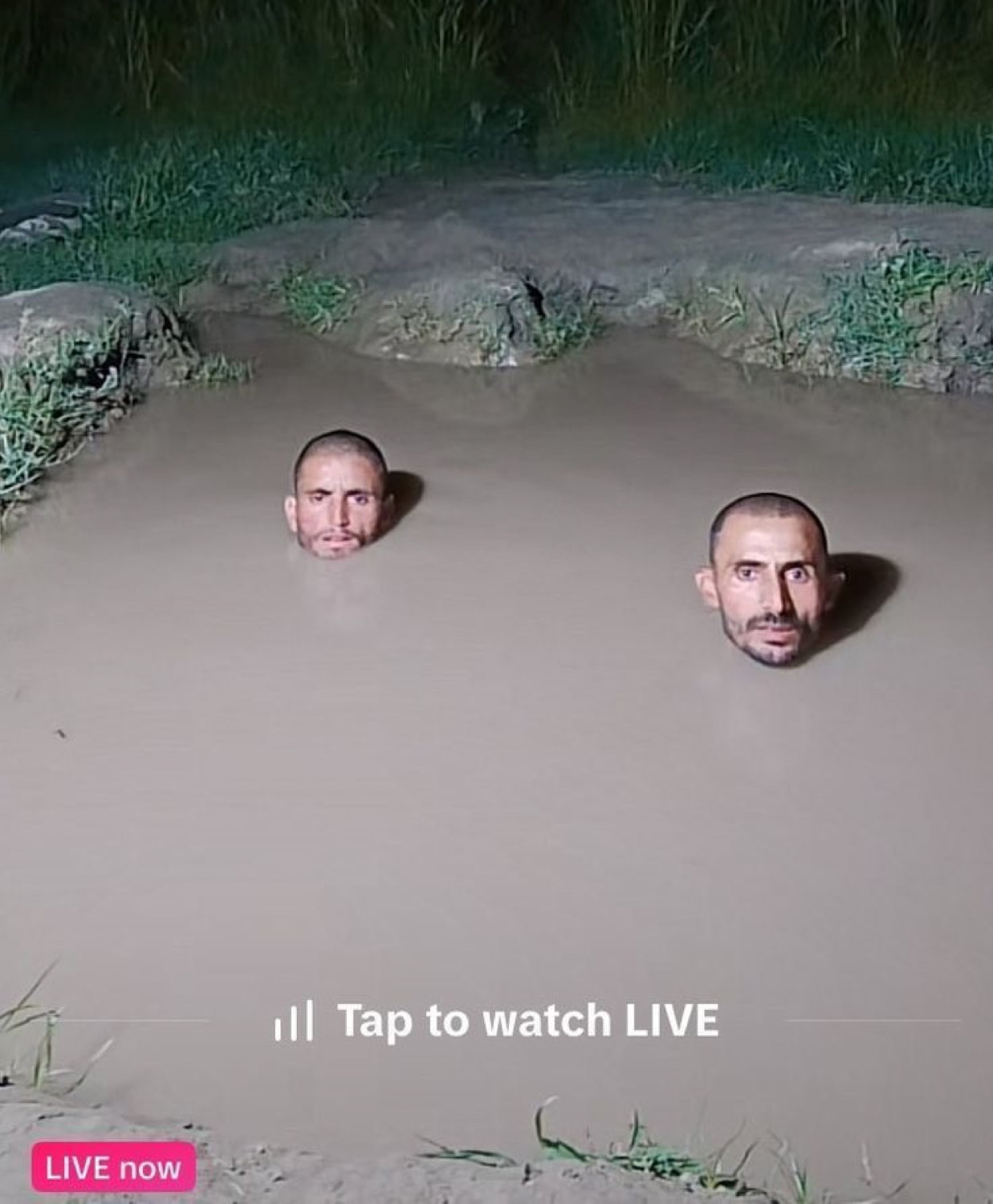Two men's heads poking out of a muddy pond at night on a 'Tap to watch LIVE' stream