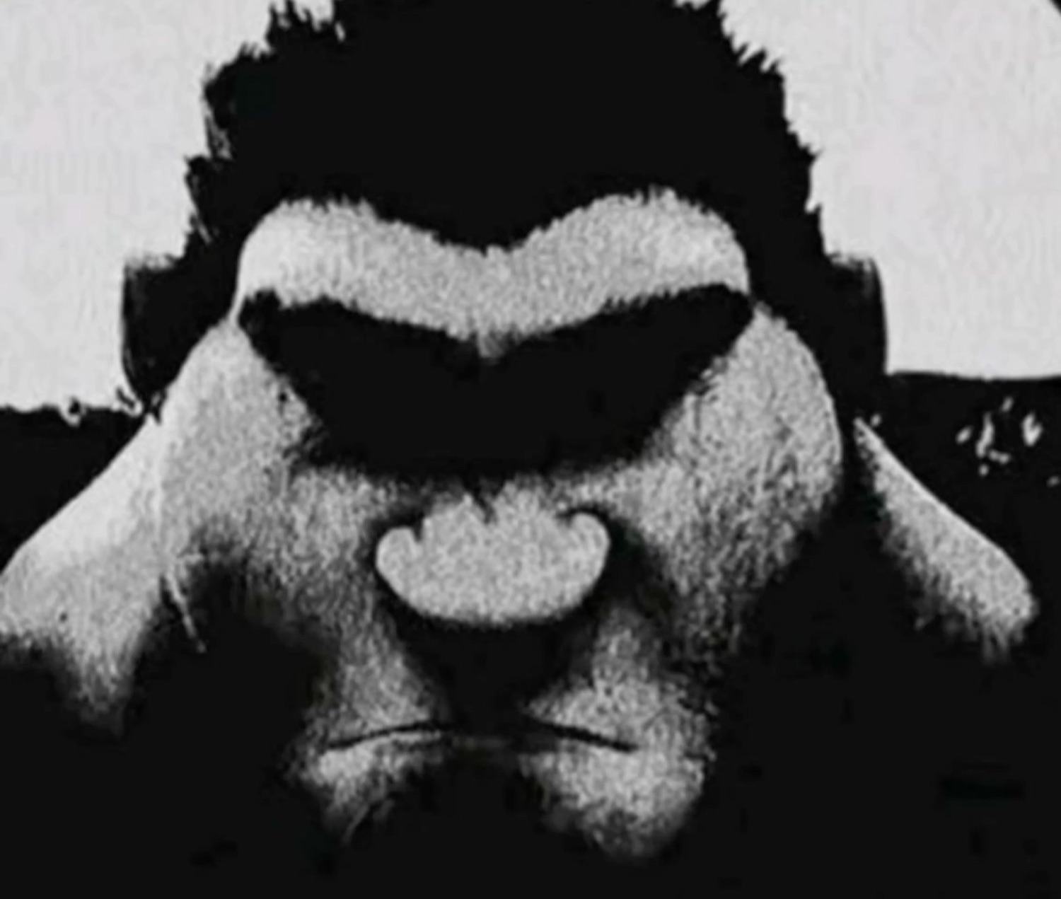High-contrast black-and-white gorilla face glowering straight at the camera
