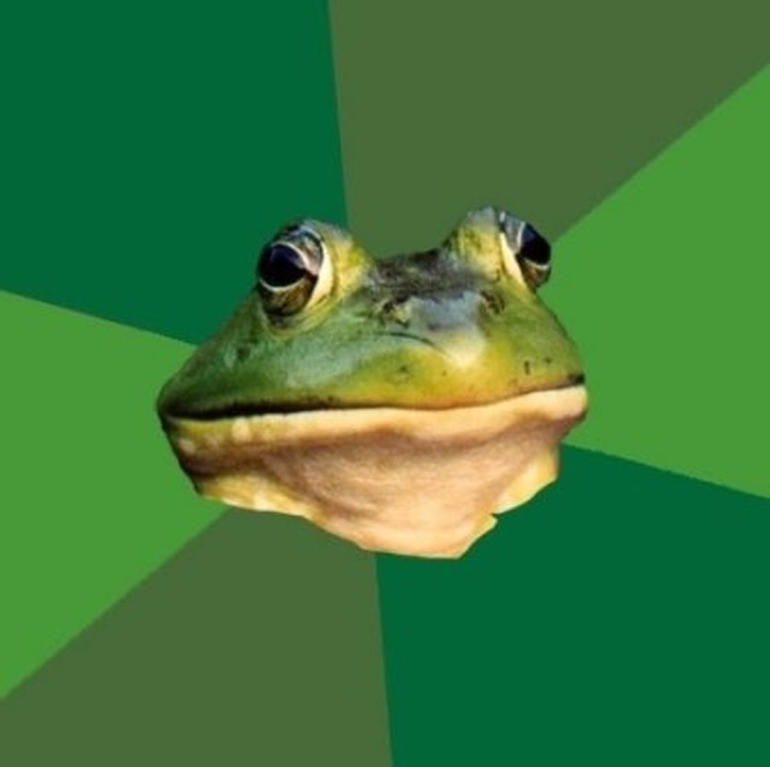 Foul Bachelor Frog meme staring straight ahead with complete smug confidence