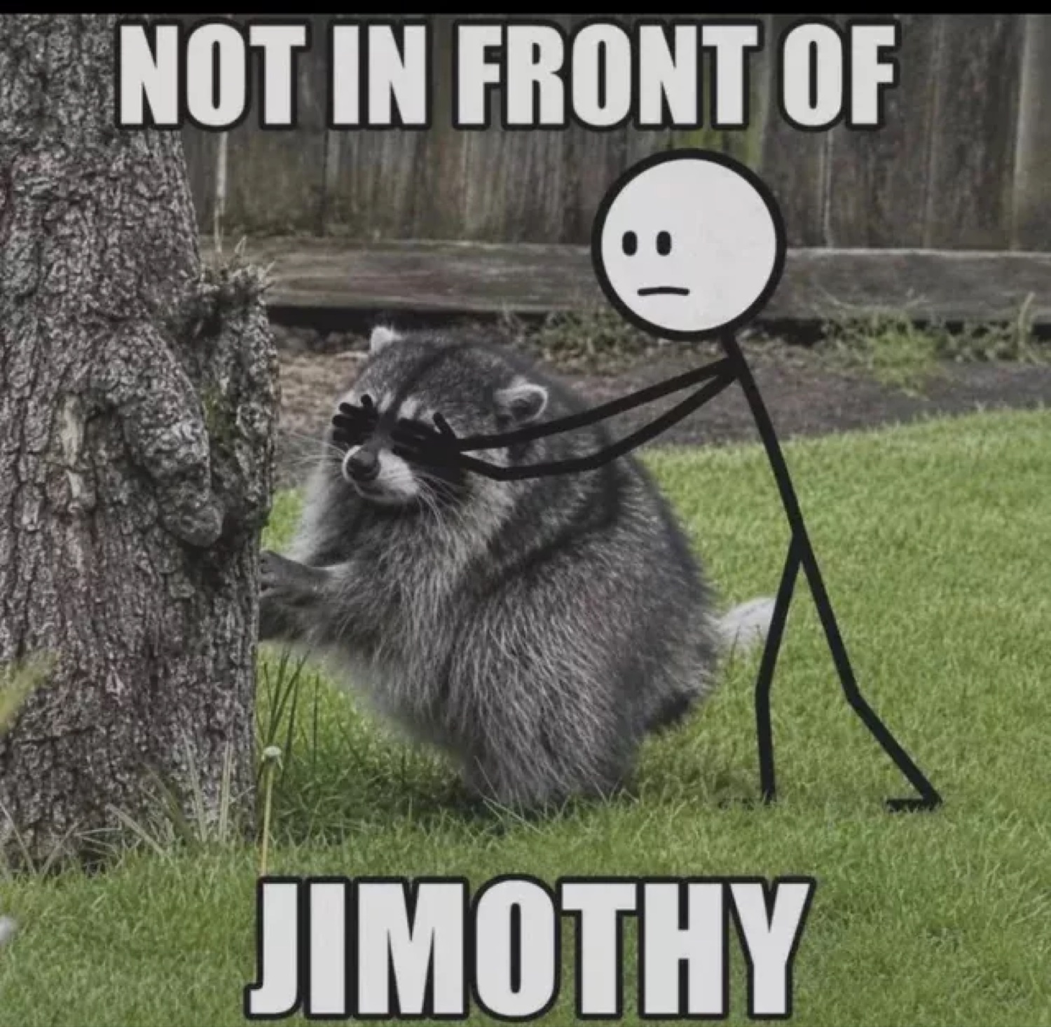 Stick figure covering a raccoon's eyes under 'NOT IN FRONT OF JIMOTHY'