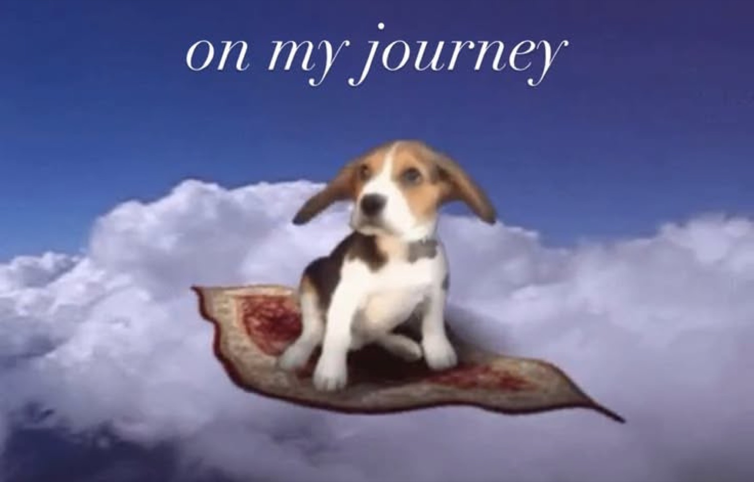 Beagle riding a magic carpet over clouds: 'on my journey'