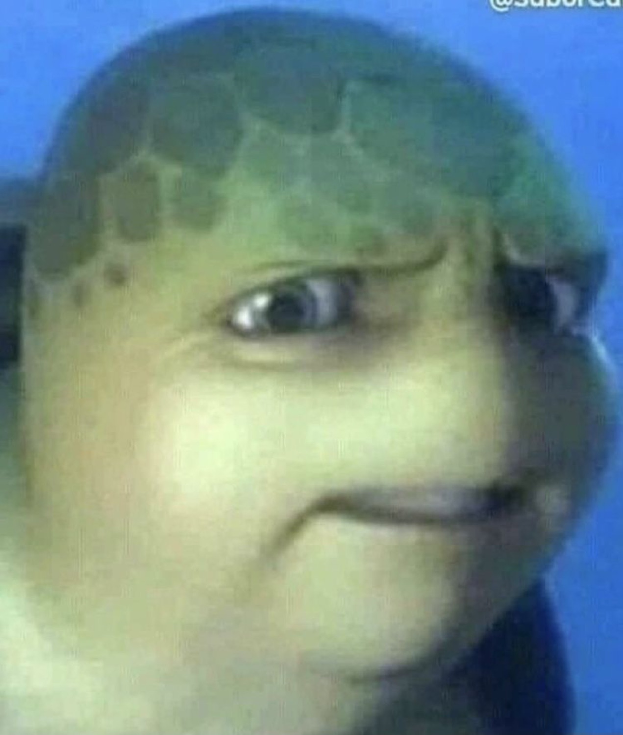 Cartoon turtle making a cringing grimace