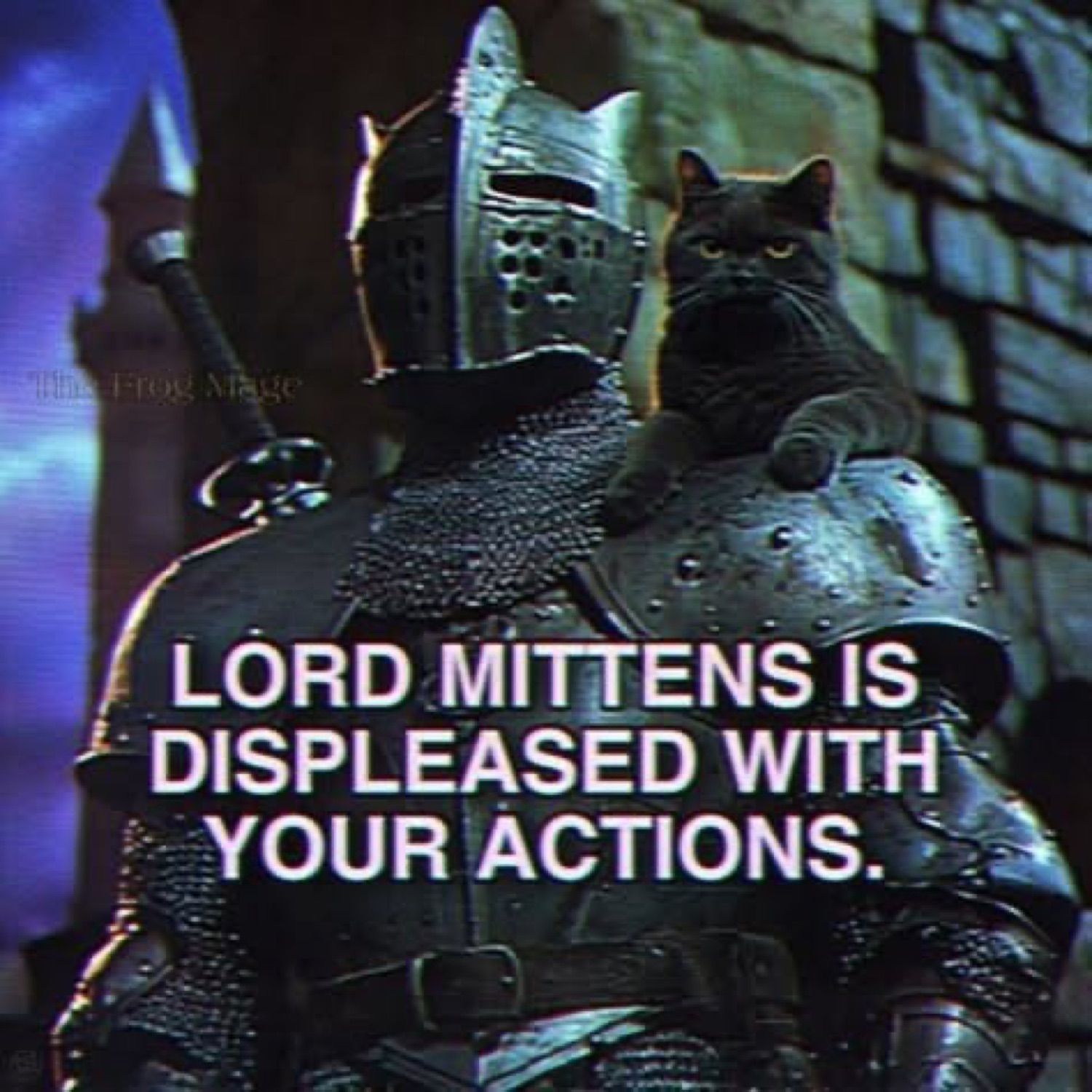 Armored knight with a black cat on his shoulder under 'LORD MITTENS IS DISPLEASED WITH YOUR ACTIONS.'