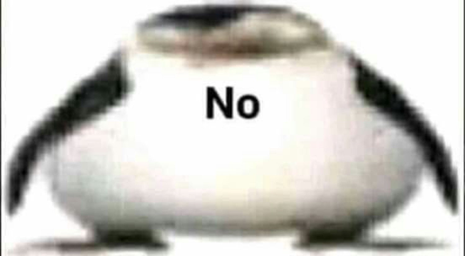 Squished penguin-like blob: 'No'
