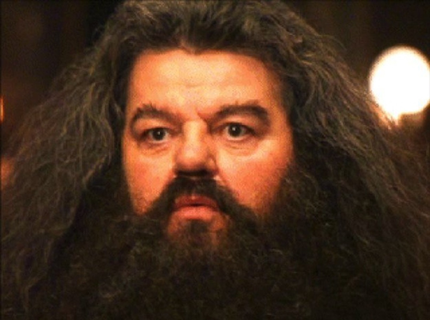 Hagrid from Harry Potter staring ahead with a slightly puzzled, deadpan look