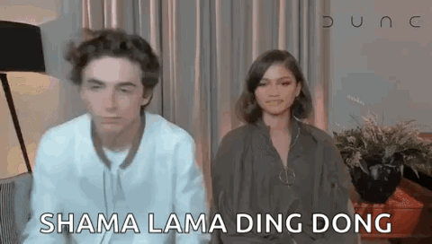 Timothée Chalamet leaning into the camera next to Zendaya, "Shama lama ding dong"