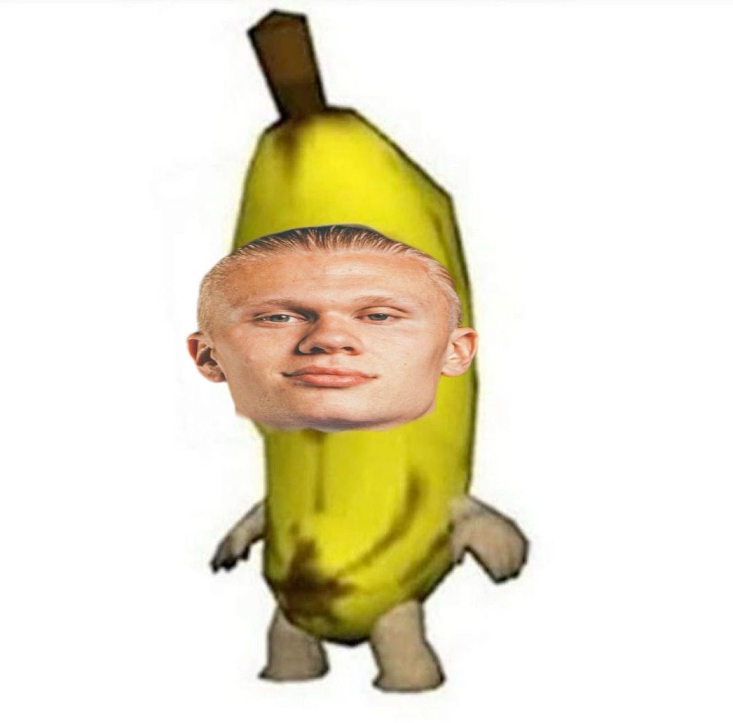 Erling Haaland's deadpan face pasted onto a little banana-suit body