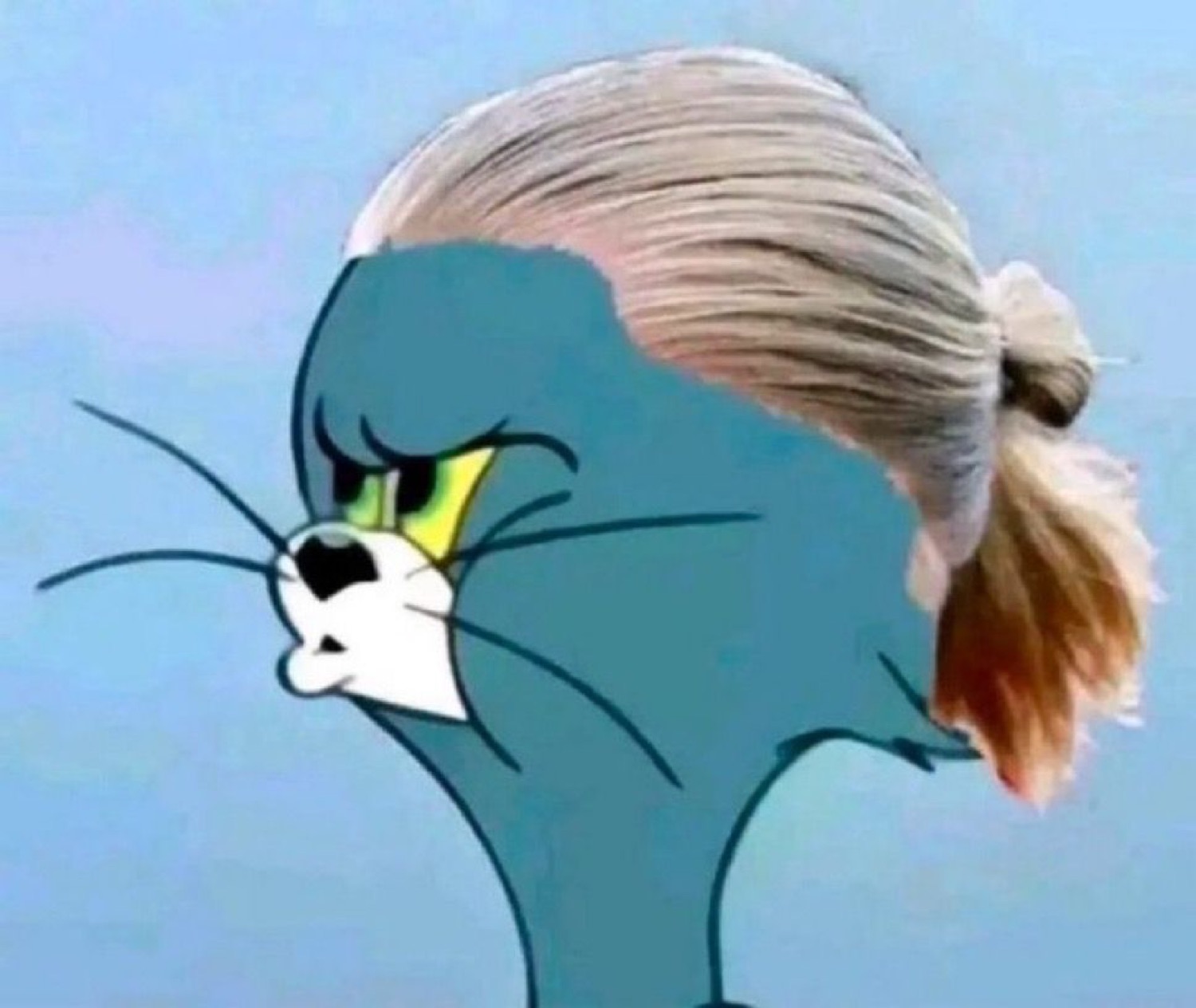 Tom the cat with a slicked-back blonde ponytail edit, glowering in profile