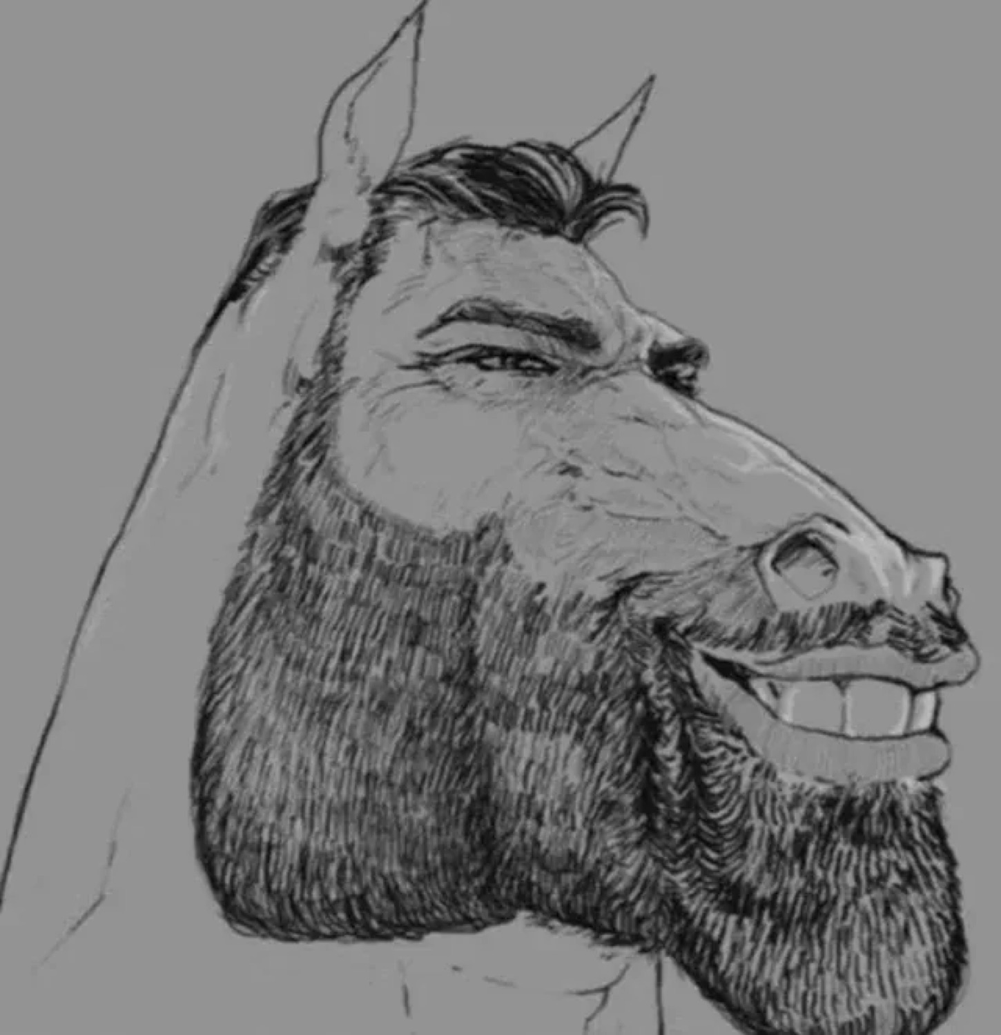 Pencil sketch of a horse with a Gigachad beard and grin