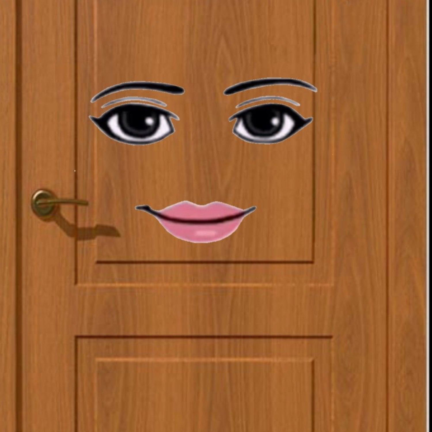 Wooden door with a Roblox face on it