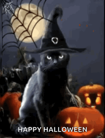 Black cat in a witch hat under a full moon with pumpkins, "Happy Halloween"