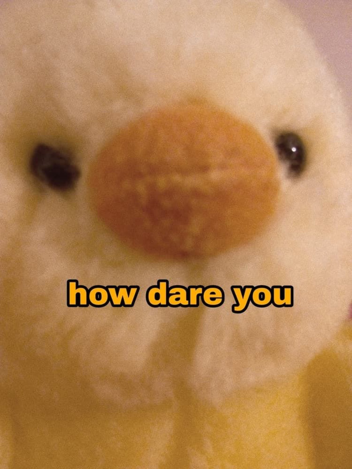 Fluffy duck plushie staring you down with 'how dare you' written across its face