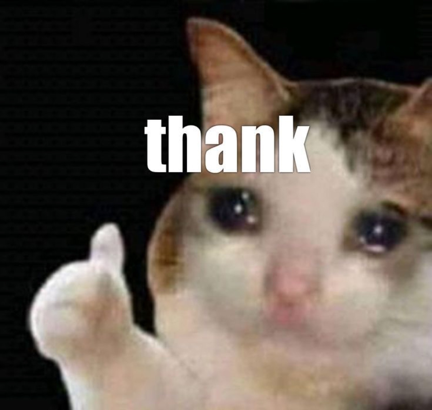 Crying cat giving a thumbs up: 'thank'