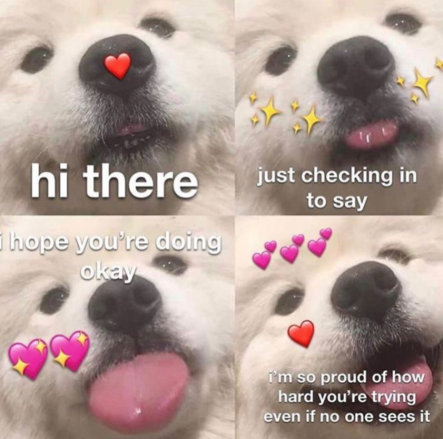 Fluffy white dog in a four-panel collage sending a wholesome check-in with love emojis