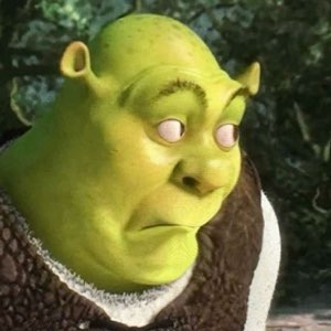 Shrek staring forward with his eyes rolled back into his head looking completely blank