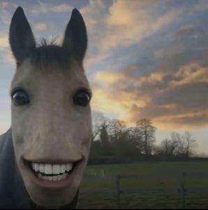 Horse grinning at the camera like it just heard something hilarious at sunset