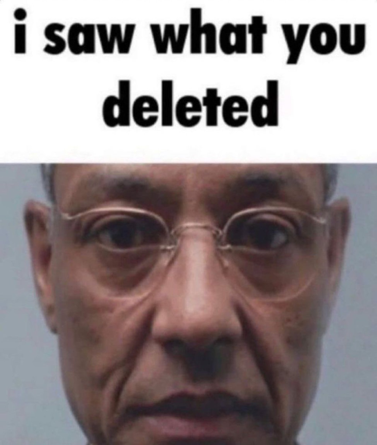 Gus Fring staring dead-eyed into the camera captioned 'i saw what you deleted'
