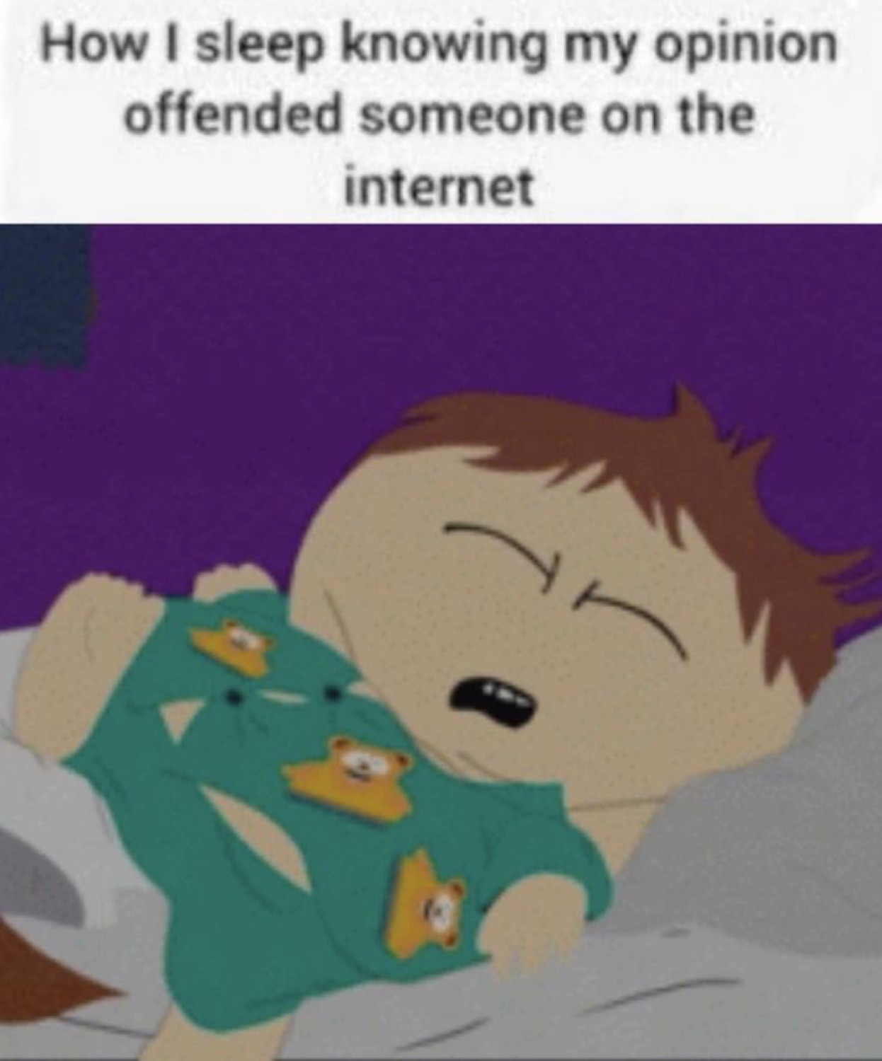 Cartman from South Park sleeping peacefully under 'How I sleep knowing my opinion offended someone on the internet'