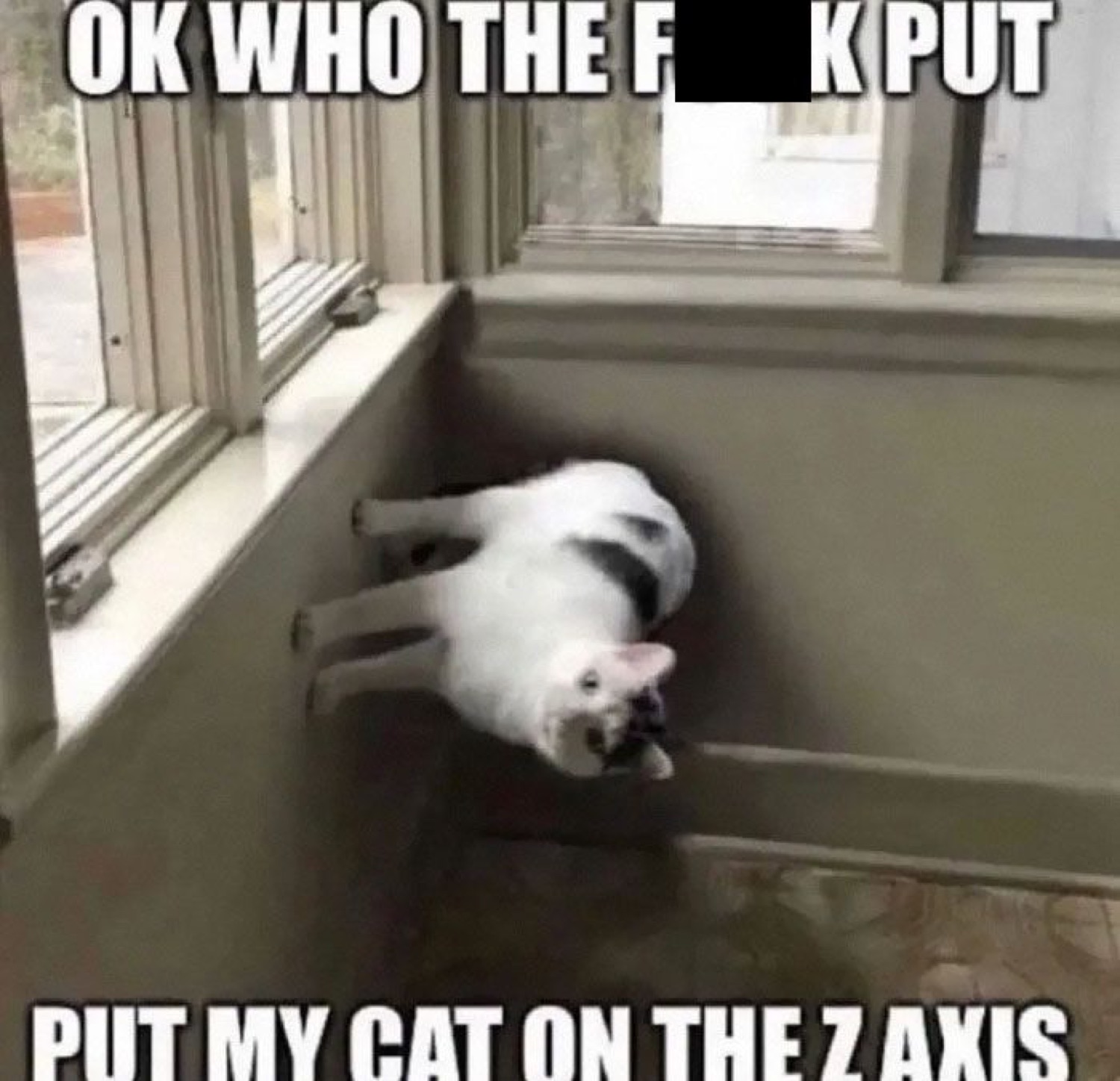 Cat wedged flat against a wall captioned 'who put my cat on the Z axis'