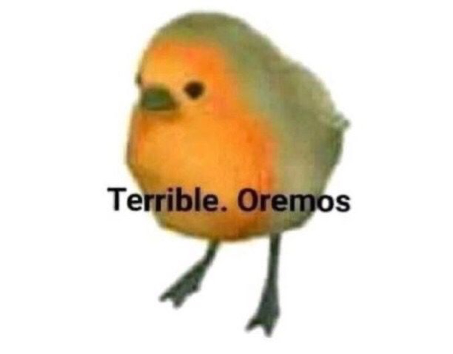 Round little bird standing alone with a defeated posture, labelled 'Terrible. Oremos'