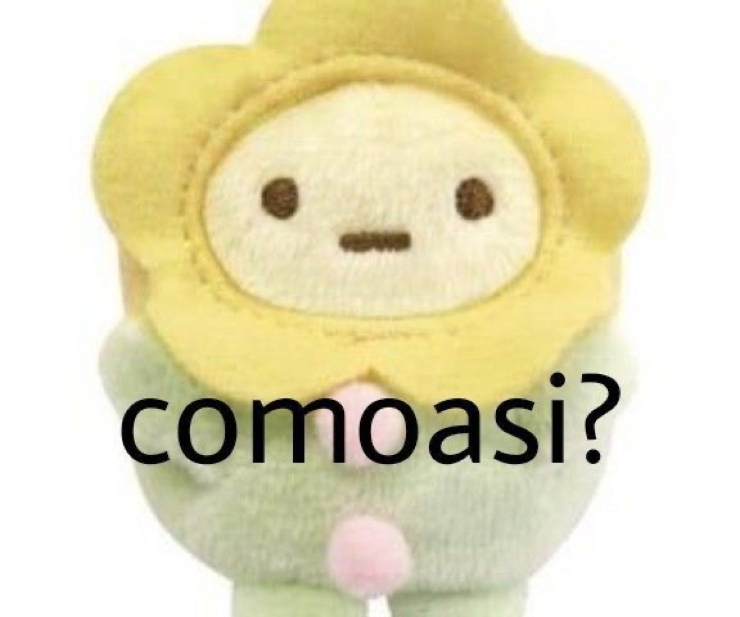 Cute flower-hat plush toy with a blank face captioned 'comoasi?'