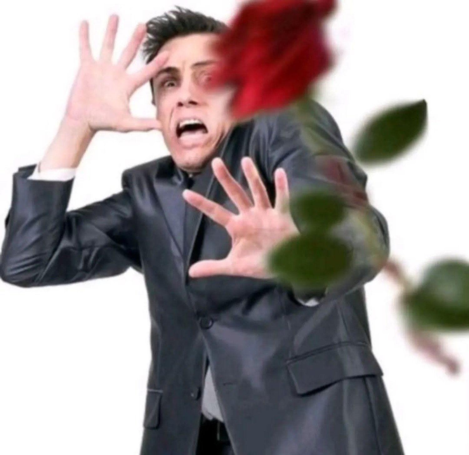 Man in a leather blazer recoiling in horror with hands up as a rose flies at him