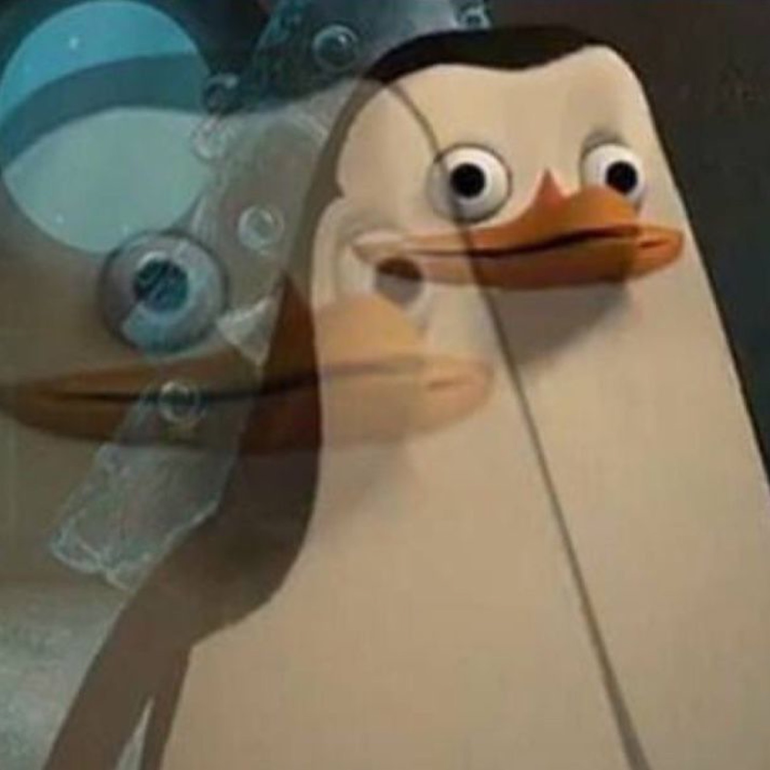 Penguins of Madagascar meme with a blurry double-vision penguin staring blankly