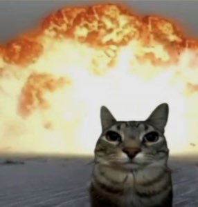 Tabby cat sitting perfectly calm in front of a giant fiery explosion