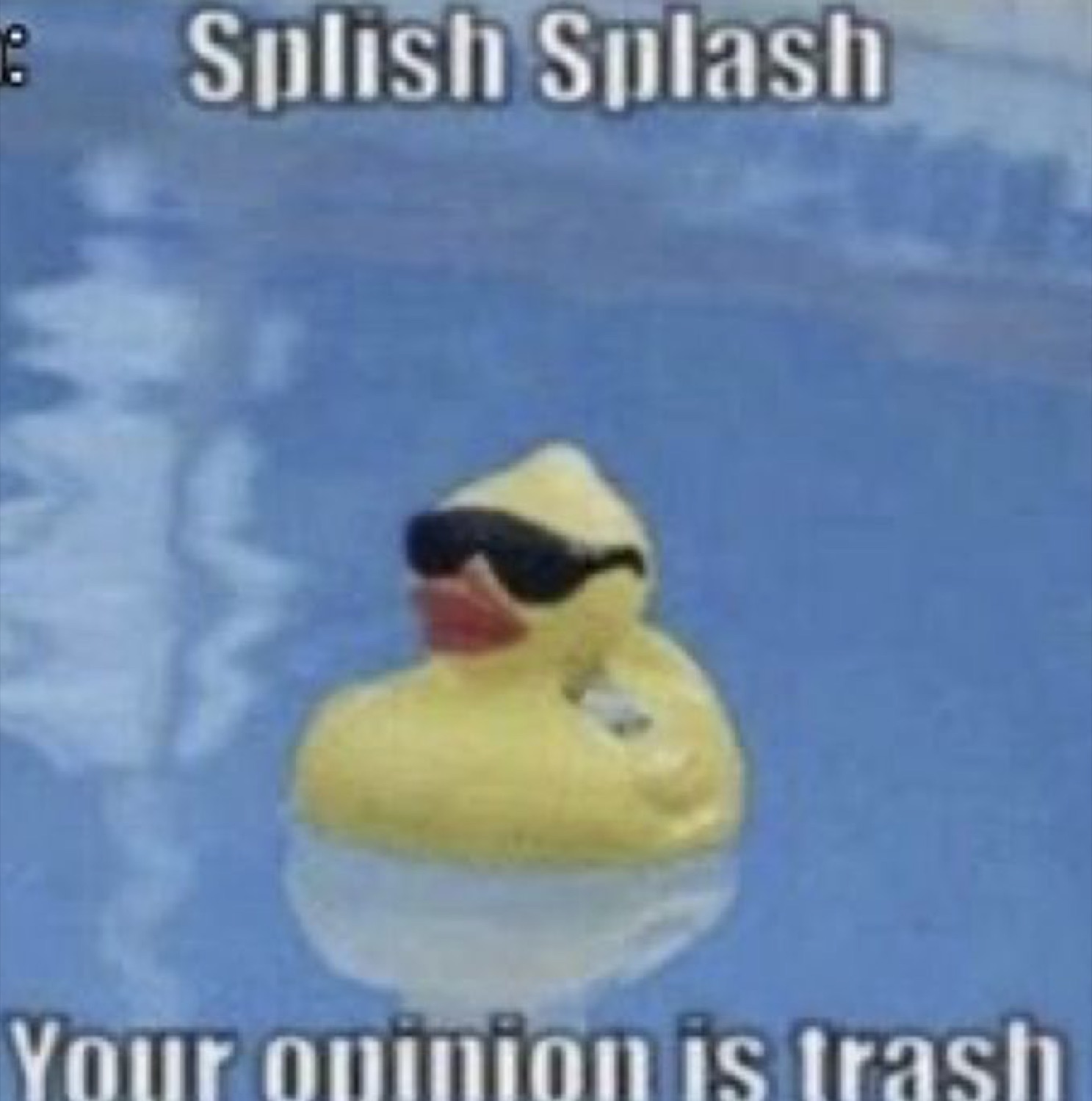 Rubber duck in sunglasses floating in a pool with 'Splish Splash Your opinion is trash'