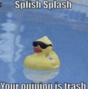 Rubber duck in sunglasses floating in a pool with 'Splish Splash Your opinion is trash'