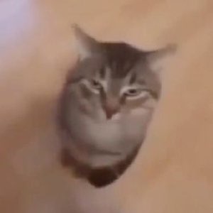 Streamer in headphones grinning with eyes shut and cheeks flushed on a beach webcam background
