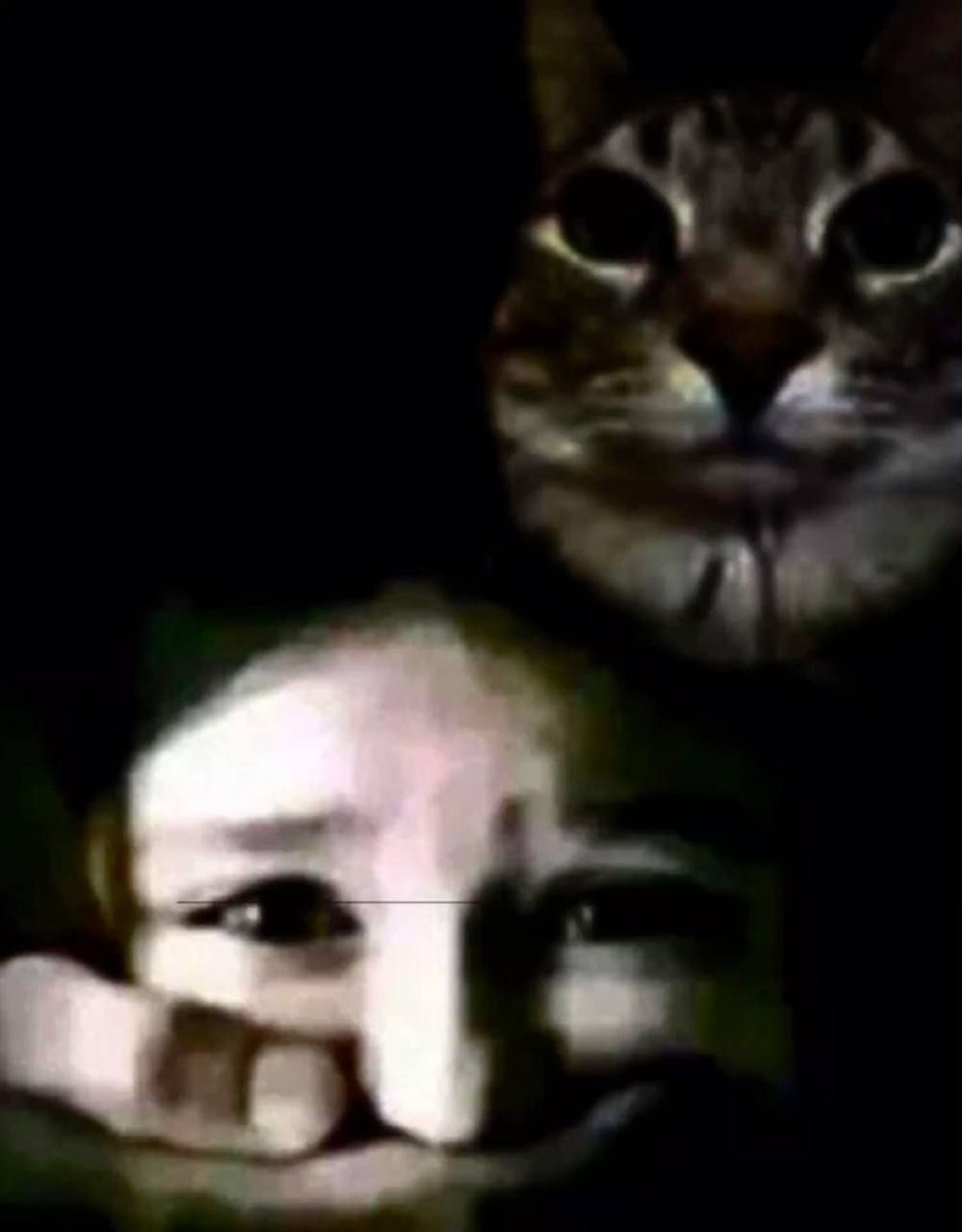 Person peeking over a table in the dark while a tabby cat looms menacingly above