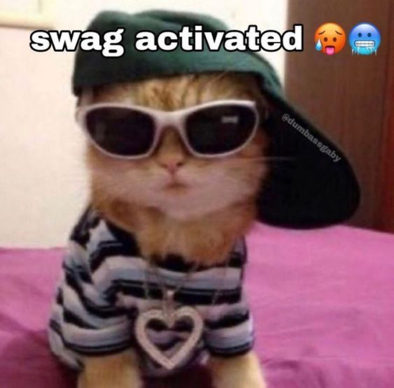 Cat in sunglasses and a chain: 'swag activated'