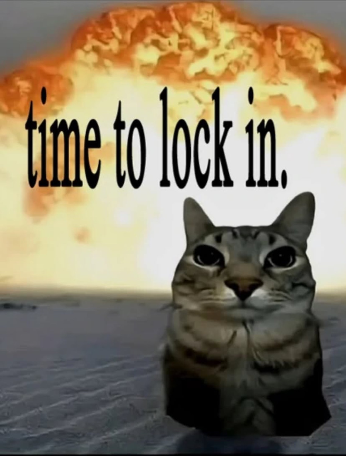 Cat staring calmly in front of a nuclear explosion under 'time to lock in.'
