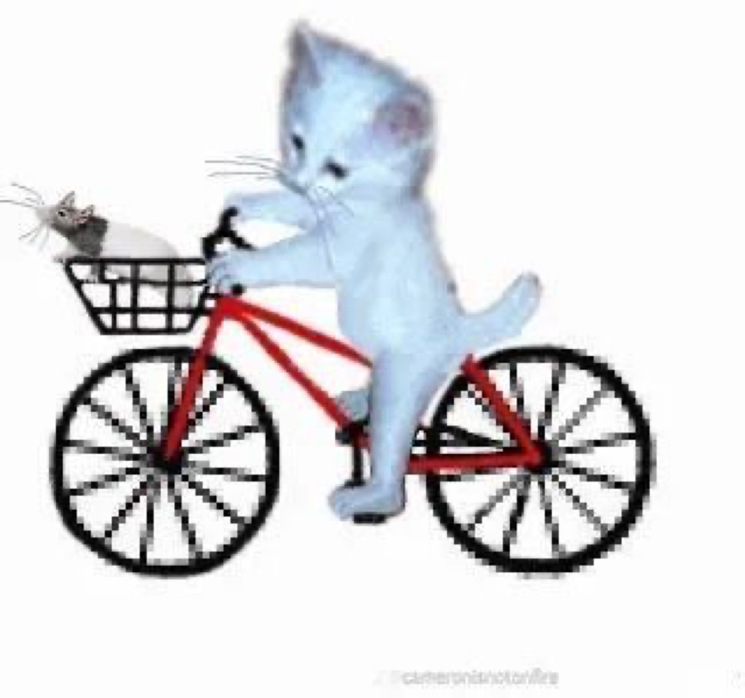 Drawing of a white kitten riding a red bike with a basket