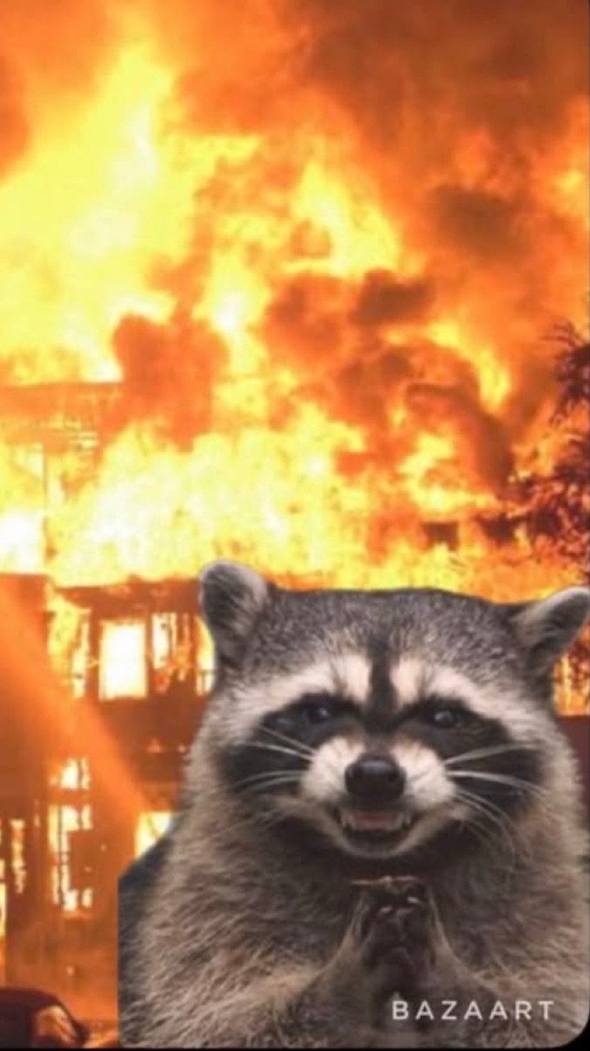 Raccoon grinning in front of a house on fire